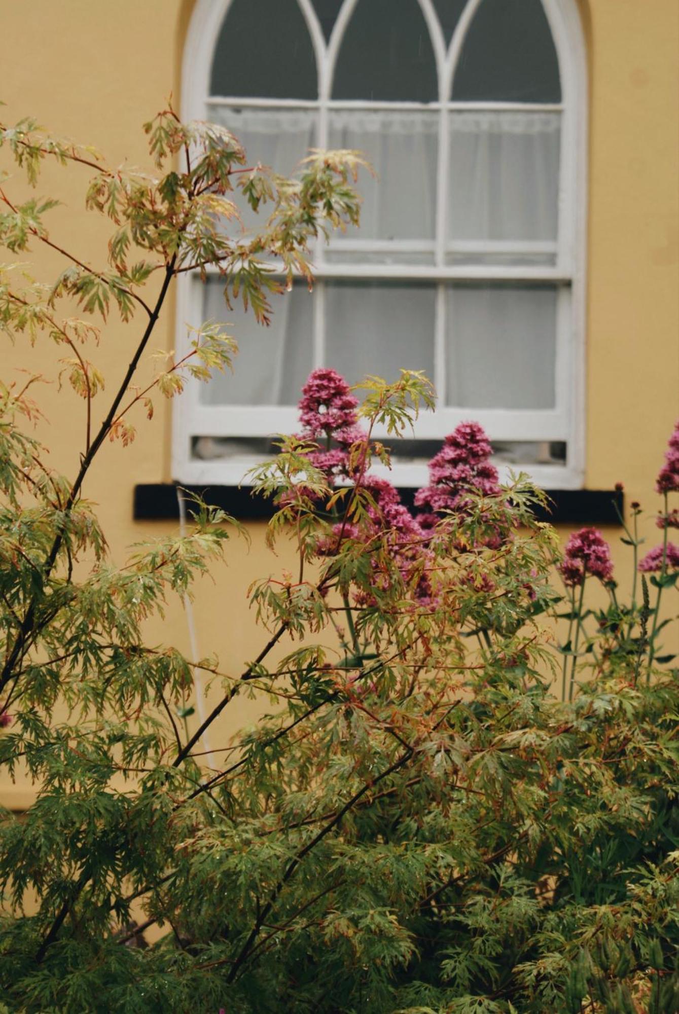Ranscombe House Bed & Breakfast Brixham Luaran gambar